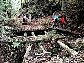 p9301758_b_med.jpg