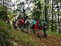 p9301763_b_med.jpg