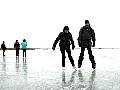 p1050452_b_med.jpg