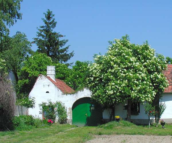 Bauernhaus